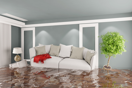 How to Stop and Repair Water Damage in Your House